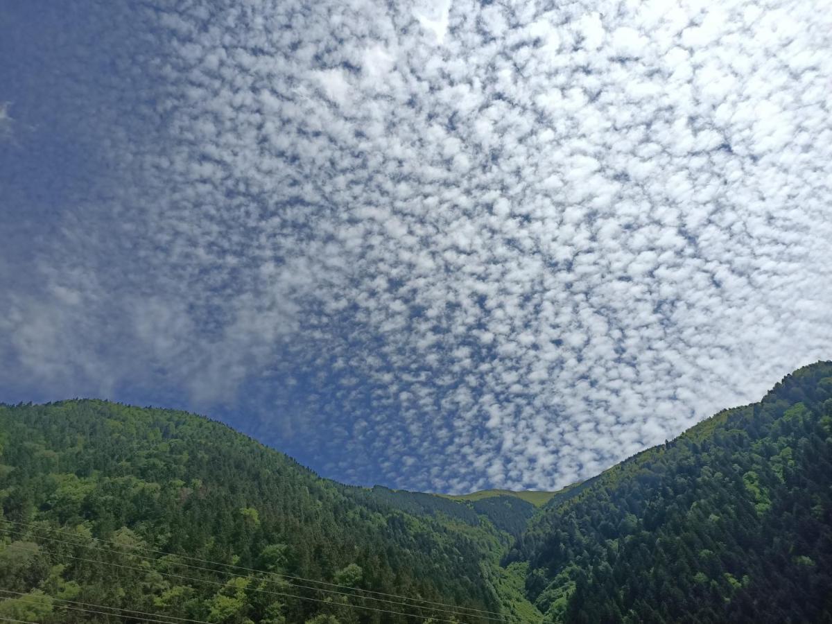 Akpinar Hotel Uzungöl Kültér fotó